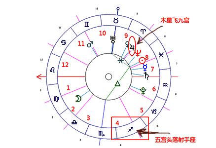 五宮 飛星 豬膽鼻 面相